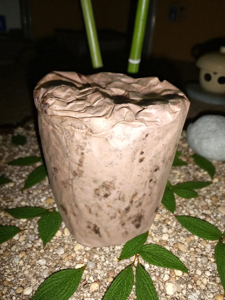LARGE SCALE AFRICA BLACK SOAP